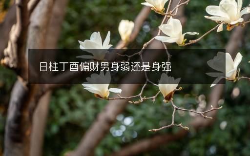 日柱丁酉偏財男身弱還是身強