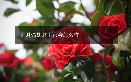 正財遇劫財正官會怎么樣