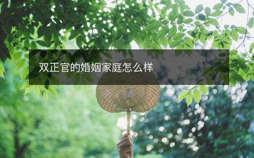 雙正官的婚姻家庭怎么樣