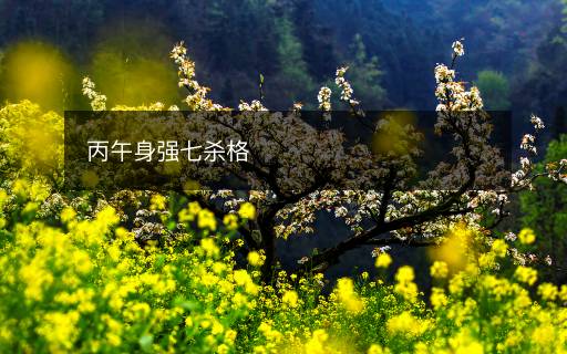 丙午身強(qiáng)七殺格