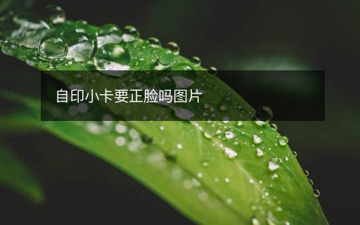 自印小卡要正臉嗎圖片