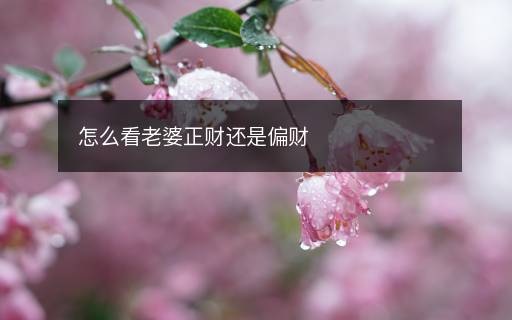 怎么看老婆正財(cái)還是偏財(cái)