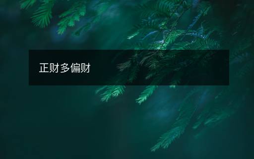 正財多偏財