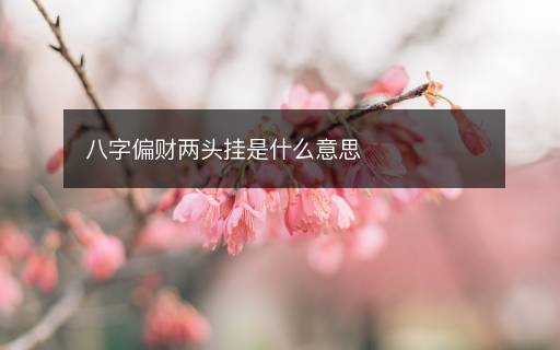 八字偏財兩頭掛是什么意思
