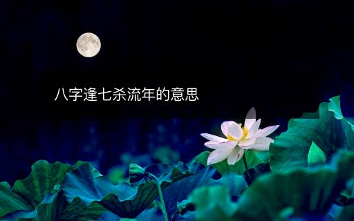 八字逢七殺流年的意思