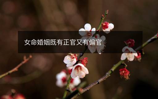 女命婚姻既有正官又有偏官