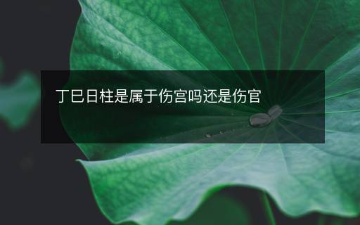 丁巳日柱是屬于傷宮嗎還是傷官