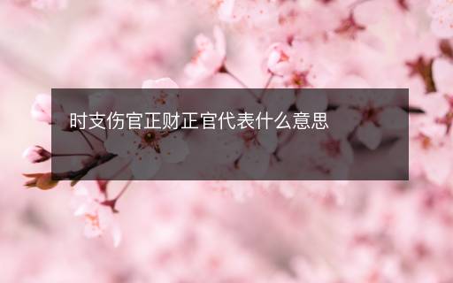 時支傷官正財正官代表什么意思