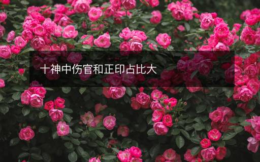 十神中傷官和正印占比大