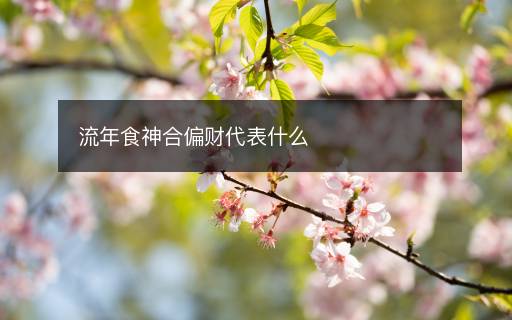 流年食神合偏財(cái)代表什么