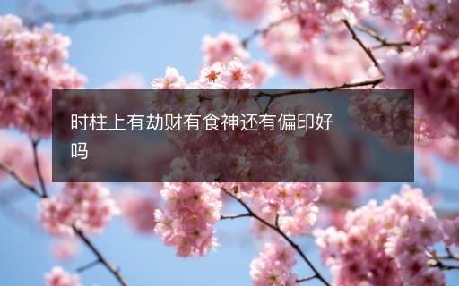 時(shí)柱上有劫財(cái)有食神還有偏印好嗎