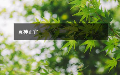 真神正官