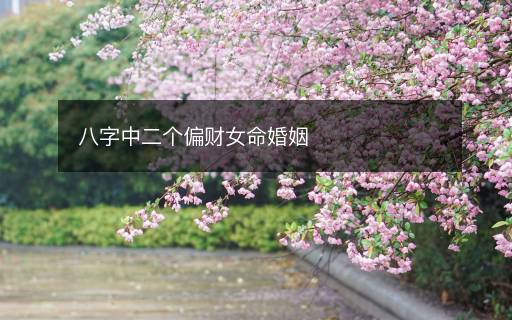 八字中二個偏財女命婚姻