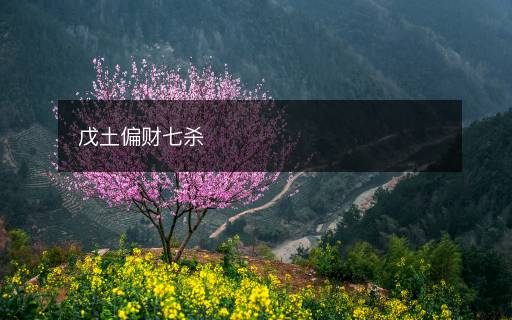 戊土偏財七殺