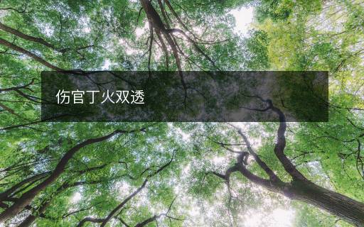 傷官丁火雙透