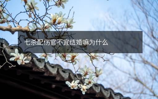 七殺配傷官不宜結婚嘛為什么