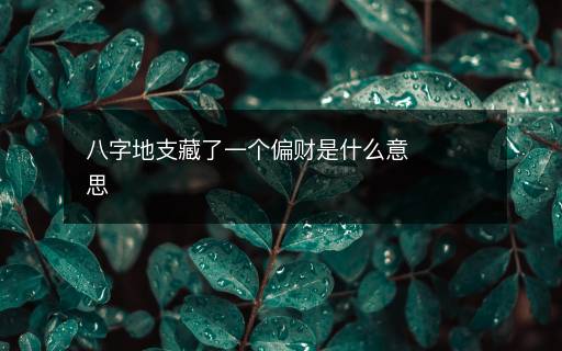 八字地支藏了一個(gè)偏財(cái)是什么意思