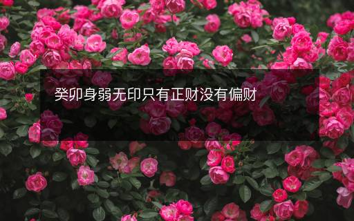 癸卯身弱無印只有正財(cái)沒有偏財(cái)