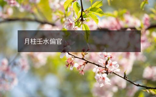 月柱壬水偏官